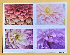 U.S.A. Flora/ Dahlias block of 4v( From Booklet). Forever stamps 2025  - Picture 1 of 2