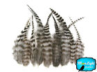 1 Dozen - SHORT NATURAL Grizzly Rooster Hair Extension Feathers