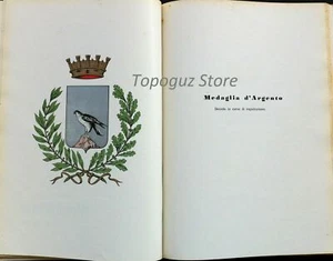 1957 WAPPEN MONFALCONE GORIZIA SILBERMEDAILLE MILITÄRISCHER WERT - Bild 1 von 1