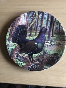 Capercaillie Royal Grafton 21.5cm Limited Edition Plate - Picture 1 of 4