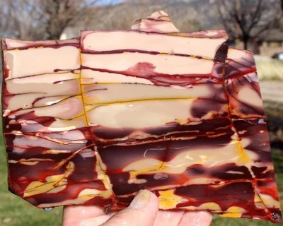 Losa de jaspe mookaite 245 gramos roca/fósil/mineral/ágata/gema/piedra/cabina/gema Foto 1 de 2