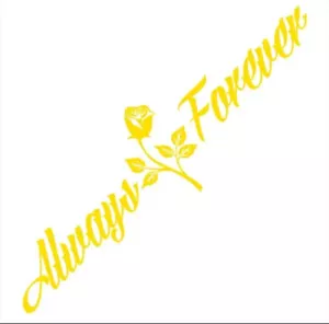 Always And Forever Car Stickers JDM Windshield Banner Motivation 24cm X 90cm - Foto 1 di 1
