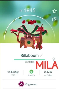 Rillaboom Gigamax Non Shiny - Pokémon Go - Bild 1 von 1