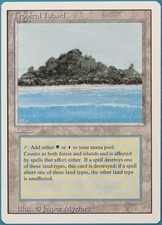 Tropical Island Revised NM Land Rare MAGIC GATHERING CARD (ID# 247246) ABUGames