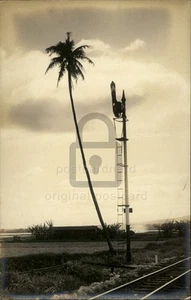 RPPC Hawaii c1920 Oaho Railway Along Pear Harbor RR Tracks Real Photo 117537 - Picture 1 of 5