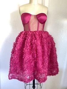 NWOT Faeriesty Womens Sheer Bustier Pink Strapless Prom Dress Size M Quinceanera - Picture 1 of 6