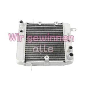 Für Honda PS250 Big Ruckus Wasserkühler Radiator Kühler 2006 19010-KTB-003 - Picture 1 of 3