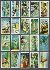 1955 Seymour Mead & Co. The Island of Ceylon Tobacco Cards Complete Set of 24