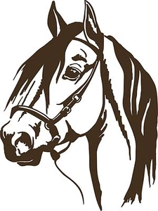 Horse Head Cowboy Pet Rodeo Western Car Truck Trailer Window Vinyl Decal Sticker - Picture 1 of 2