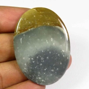 Natürliches Polygramm Edelstein 41x29 mm Handarbeit Oval Glatt Jaspis Kabinen 40Cts PG-119 - Bild 1 von 9