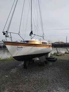 Newbridge Navigator Boat - Picture 1 of 20