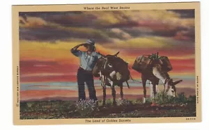 Real West Begins muli asini uomo cartolina vintage lino Arizona New Mexico Ut - Foto 1 di 2
