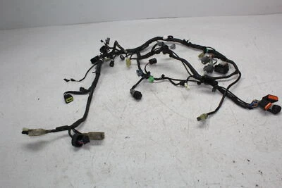 13-17 KAWASAKI NINJA 300 EX300 MOTOR PRINCIPAL ARNÉS CABLEADO MOTOR TELAR Foto 1 de 4