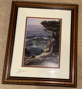 Use Werner Print “Costal Pines “ - Picture 1 of 3