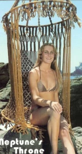 New Idea in Macrame: birdcage chair bikini butterfly shawl hamper  instructions - Picture 1 of 5