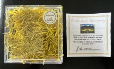 Michigan Wolverines Juego Usado BLOQUE M Césped de 50 Yardas Línea del Estadio Michigan Foto 1 de 4