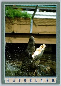 Postkarte Florida Orlando Gatorland 22D - Bild 1 von 2