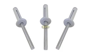 Remaches blancos de cabeza pequeña explosiva remaches pop 250ct 3/16" sujetadores triple IMCA - Imagen 1 de 7