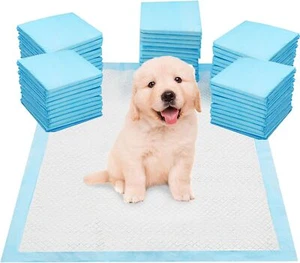 60 x 90CM GROSSES WELPE HAUSTIER TRAINING WEE PISSE TOILETTENPAD BODENMATTEN HUND KATZE - Bild 1 von 6