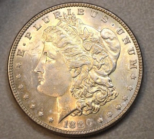 1886 P $1 dollaro USA argento Morgan - 100% originale - senza trucchi per la fotocamera! - Foto 1 di 2
