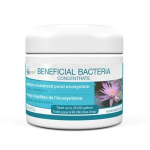 Aquascape Dry Beneficial Bacteria for Pond and Water Features, 4.4-Ounce | - Picture 1 of 3