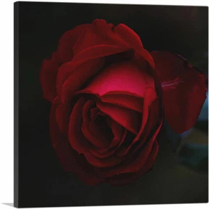 ARTCANVAS Stampa artistica su tela con fiori rossi rosa - Foto 1 di 11