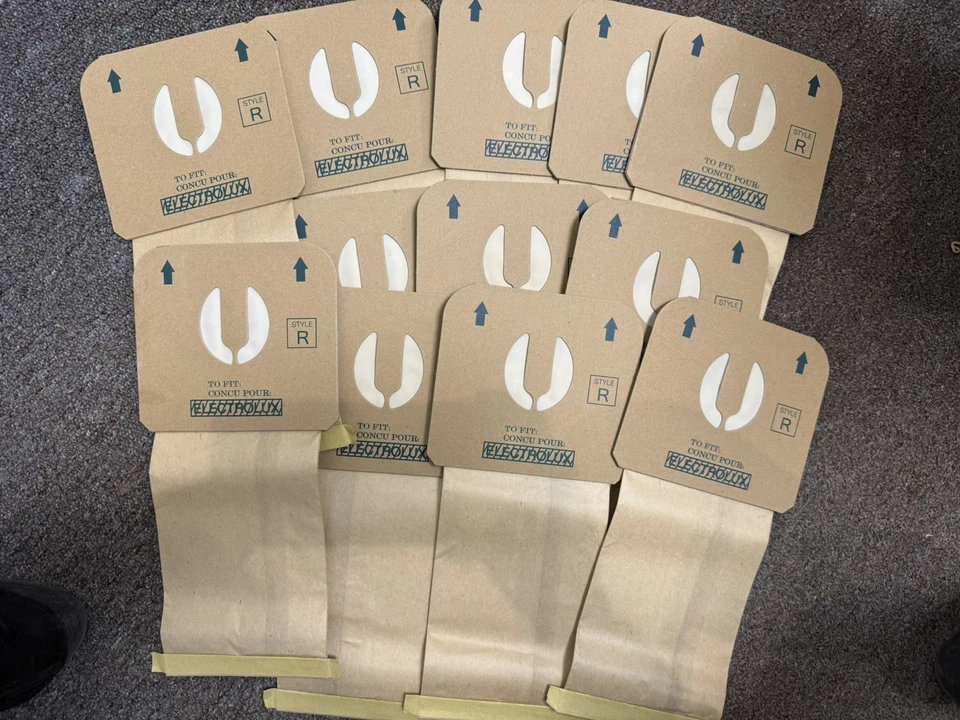 12 piezas Electrolux Renaissance bote aspiradora estilo R filtro bolsa 9000 8000 Foto 1 de 1