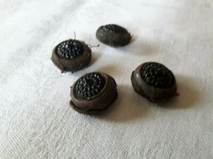 BT02/ 4 boutons anciens dia17mm XIXème 4 Old buttons - Imagen 1 de 4