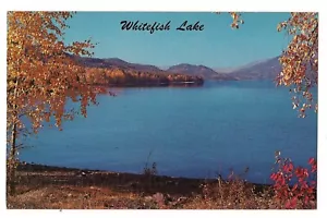 WHITEFISH LAKE Home of Big Mountain Ski Resort Winter Sport Montana Postcard MT - Picture 1 of 2