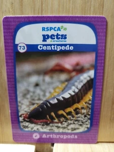 RSPCA Pets ๐ #73 CENTIPEDE Trading Card ๐FREE POST - Picture 1 of 2