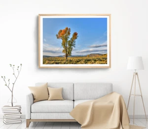 Tree Print, Grassess Wall Art, Cloudy Sky View Framed Nature Wall Art, Natural - Picture 1 of 5