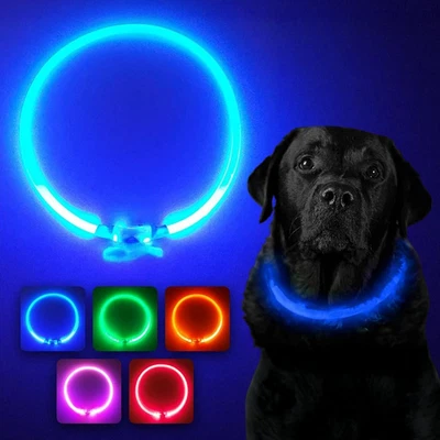Collare per Cani a LED Blu - Collare Di Sicurezza per Animali Domestici Con Luce - Immagine 1 di 4