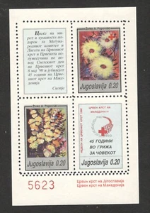 MACEDONIA-YUGOSLAVIA-BLOQUE MNH, CRUZ ROJA-ERROR, DOBLE PERFORACIÓN, HORIZONTE-1990 - Imagen 1 de 2