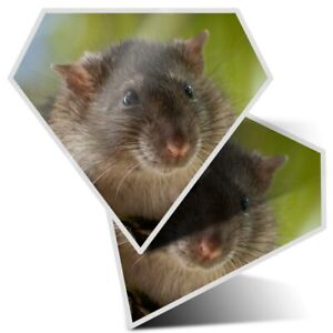 2 x Diamond Stickers 10 cm  - Brown Rat Rodent  #16400