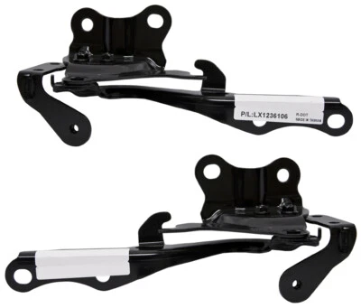New Front Hood Hinge Set For 2010-2015 Lexus RX350 RX450h LX1236110 LX1236111 Foto 1 de 3