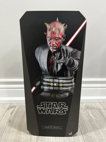 Opened And Posed Hot Toys TMS024  Darth Maul CIB With Brown Shipper Cover