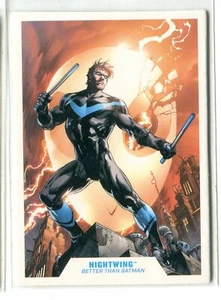 McFarlane DC Multiverse Nightwing (Blue Suit) Trading Card From Action Figure - Picture 1 of 1