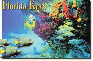 Emocionante postal continental de recuerdo de los Cayos de Florida del mundo submarino - Imagen 1 de 2