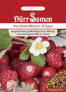 Fresas de mes Rügen fresas semillas de sequía fresas de jardín aprox. 100 granos - Imagen 1 de 1