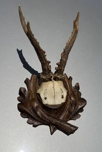 1932 Dated Antler Black Forest Carved Wood Plaque Antique Trophy - Picture 1 of 9