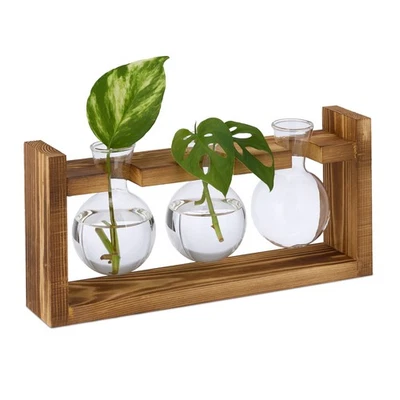 Reagenzglas Vase Reagenzglasständer Glasvase Vermehrungsstation Hydrovase Blumen - Bild 1 von 2