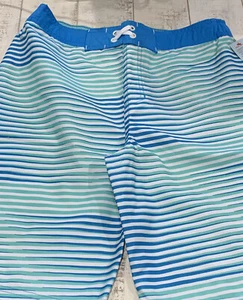 Cat & Jack Blue Stripe Swim Trunks (Large Husky) - Picture 1 of 7