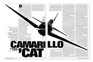 Rapporto aereo Grumman Bearcat 1/20/2025q - Foto 1 di 2