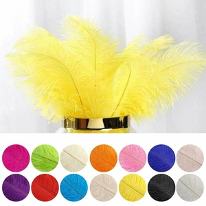 12 Pcs 13"-15" Long Véritable Plumes d'Autruche pour Mariage Fête Centres VENTE - Photo 1 sur 114