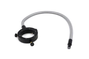 Schott Ringleiter - Picture 1 of 1