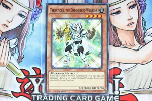 Yugioh Terratiger, the Empowered Warrior YS14-EN014 1st Edition Common - Picture 1 of 2