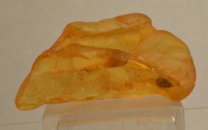 #6471 Ambra - Colombia - Foto 1 di 7