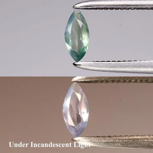 💎 0.10ct 5x2.3mm Marquise Natural Green Alexandrite - Russia Gemstone - Picture 1 of 6