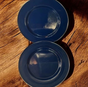 Discontinued Pottery Barn Enamelware Chargers Plates 12” Blue Set x2 Partyware - Picture 1 of 8