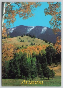Postcard Fall Comes to the San Francisco Peaks Near Flagstaff Arizona Autumn - Picture 1 of 2